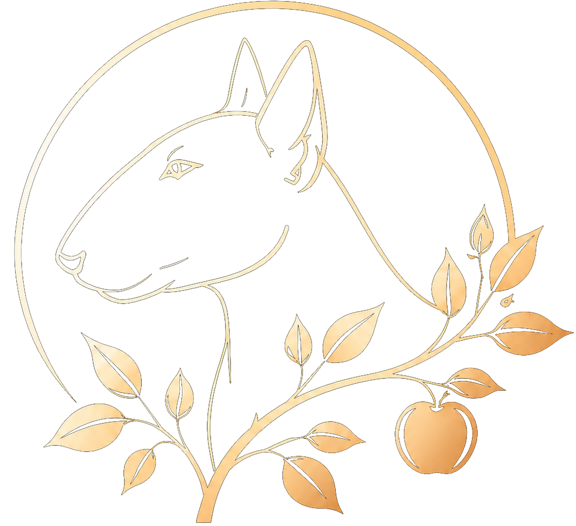 of Frisian Orchard  | Miniatur Bullterrier Züchter